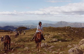 High Country Horses - Accommodation Brunswick Heads 0