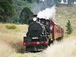 Storeyline Tours - Accommodation Brunswick Heads 2