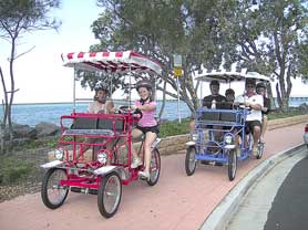 Beach Safaris - Accommodation Brunswick Heads 0