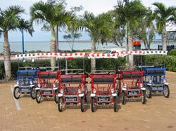 Beach Safaris - Accommodation Brunswick Heads 1