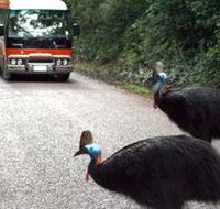 Kookaburra Tours - Accommodation Brunswick Heads
