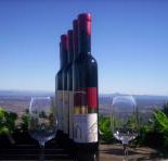 Mount Tamborine Winery  Homestead - Accommodation Brunswick Heads