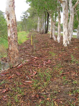 Kumbartcho Sanctuary - Accommodation Brunswick Heads 1