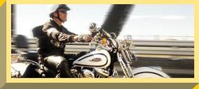 Easy Rider - Accommodation Brunswick Heads 2