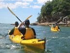 Sydney Harbour Kayaks - Accommodation Brunswick Heads 1