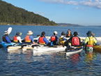 Sydney Harbour Kayaks - Accommodation Brunswick Heads 2