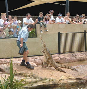 Symbio Wildlife Gardens - Accommodation Brunswick Heads 3