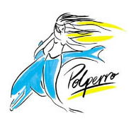 Polperro Dolphin Swims - Accommodation Brunswick Heads