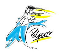 Polperro Dolphin Swims - Accommodation Brunswick Heads 0
