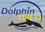 Moreton Island QLD Accommodation Brunswick Heads