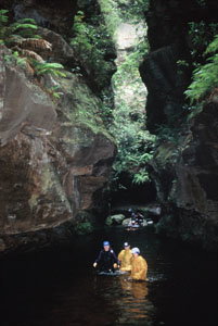 High And Wild Mountain Adventures - Accommodation Brunswick Heads 1