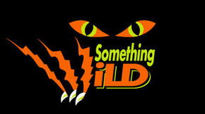 Something Wild - Accommodation Brunswick Heads 0