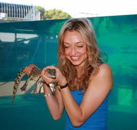 Crocosaurus Cove - Accommodation Brunswick Heads