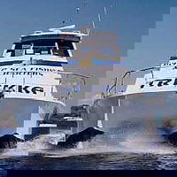 Sunshine Coast Fishing Charters - Accommodation Brunswick Heads 0