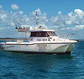 Sunshine Coast Fishing Charters - Accommodation Brunswick Heads 1