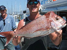 Sunshine Coast Fishing Charters - Accommodation Brunswick Heads 2