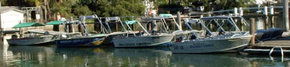 Brooklyn Central Boat Hire & General Store - Accommodation Brunswick Heads 1