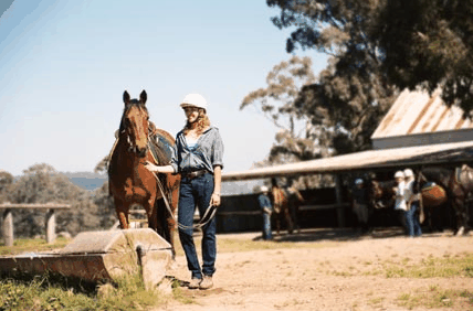 Watsons Trail Rides - Accommodation Brunswick Heads 0