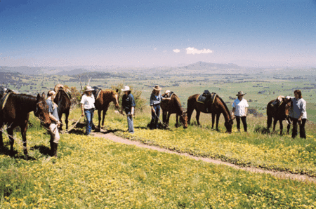 Watsons Trail Rides - Accommodation Brunswick Heads 1