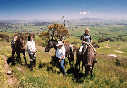 Watsons Trail Rides - Accommodation Brunswick Heads 2