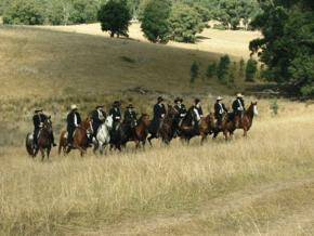 McCormacks Mountain Valley Trail Rides - Accommodation Brunswick Heads 0