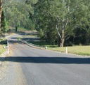 Mirimbah Picnic Ground - Accommodation Brunswick Heads