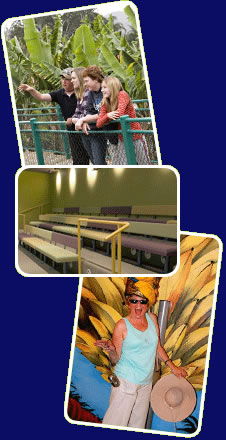 Big Banana - Accommodation Brunswick Heads 2