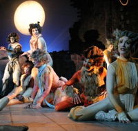 Harvest Rain Theatre Company - Accommodation Brunswick Heads