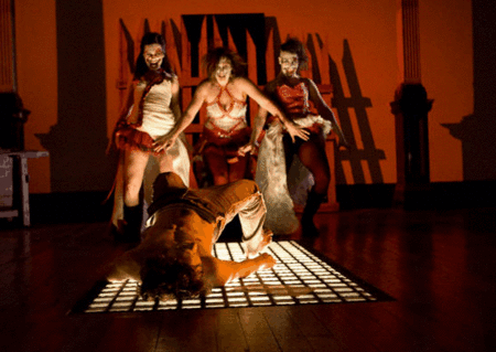 Zen Zen Zo Physical Theatre - Accommodation Brunswick Heads 1