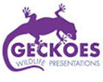 Geckoes Wildlife Presentations - Accommodation Brunswick Heads 3