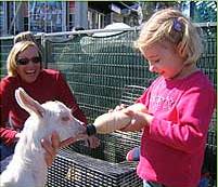 The Sun Herald Sydney Family Show - Accommodation Brunswick Heads 2