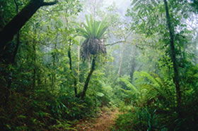 Illinbah QLD Accommodation Brunswick Heads