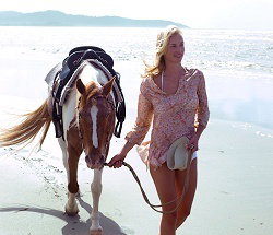 Ride The Beach - Accommodation Brunswick Heads 3