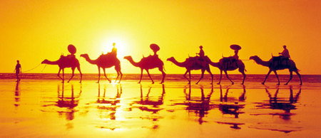 Banksia Adventures - Accommodation Brunswick Heads 1