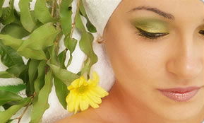 Indica Spa - Accommodation Brunswick Heads 1