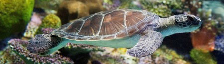 Melbourne Aquarium - Accommodation Brunswick Heads 1