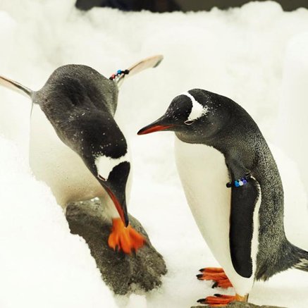 Melbourne Aquarium - Accommodation Brunswick Heads 3