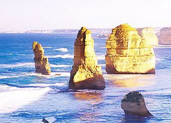 Bunyip Tours - Accommodation Brunswick Heads 3