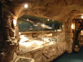 The National Opal Collection - Accommodation Brunswick Heads 2