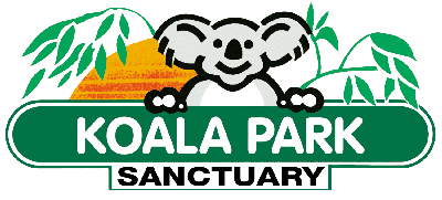 Koala Park Sanctuary - Accommodation Brunswick Heads