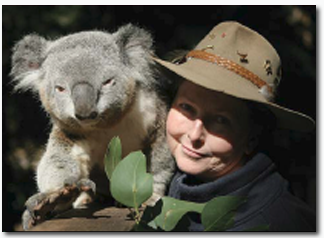Koala Park Sanctuary - Accommodation Brunswick Heads 2