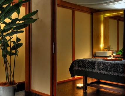 Pure Energy Concept Spas - Accommodation Brunswick Heads 2