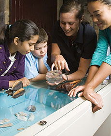 The Rocks Discovery Museum - Accommodation Brunswick Heads 3