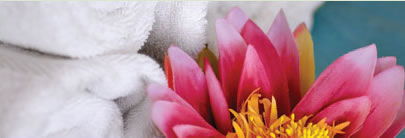 Regeneration Health Spa - Accommodation Brunswick Heads 2