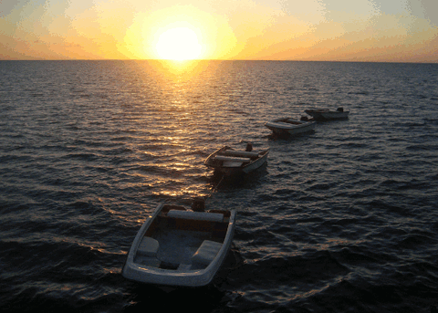 Carlo Fishing Charters - Accommodation Brunswick Heads 2