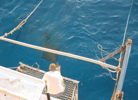 Carlo Fishing Charters - Accommodation Brunswick Heads 4