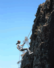 Adventures Around Brisbane - Accommodation Brunswick Heads 1