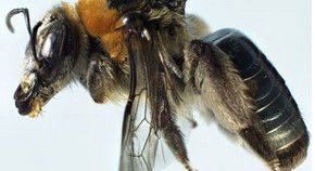 Perth City WA Accommodation Brunswick Heads