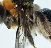 Western Australian Museum - Accommodation Brunswick Heads