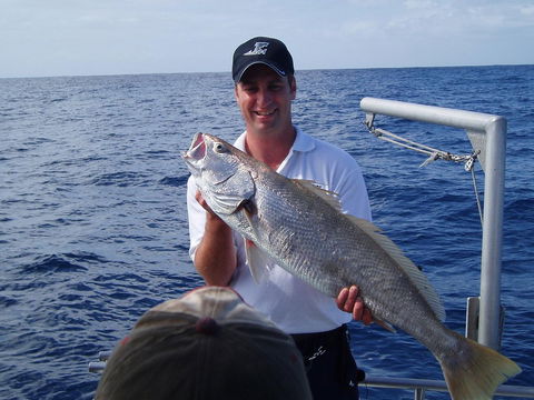 Blue Juice Charters - Accommodation Brunswick Heads 1